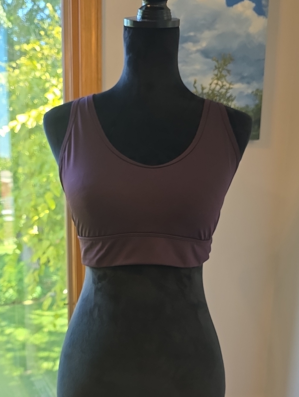 Ivivva/Lululemon's Line. Women's Purple/Plum Scoop Neck Sports Bra - Size Large